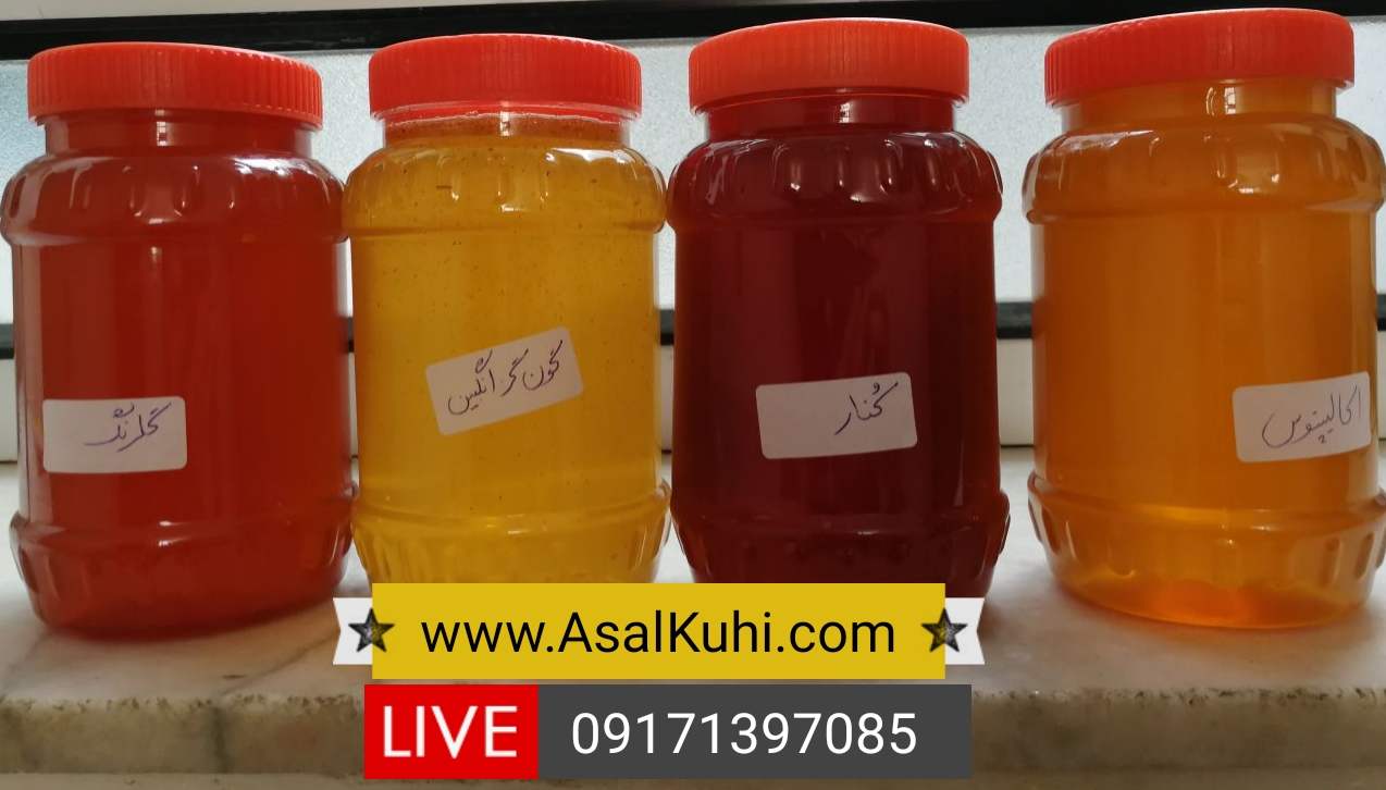 خرید عسل طبیعی در شیراز